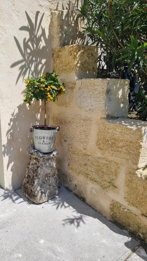 Chambre Saint Emilion - Le Clos D'Antan Les Artigues-de-Lussac Екстер'єр фото