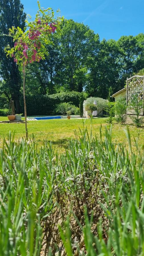 Chambre Saint Emilion - Le Clos D'Antan Les Artigues-de-Lussac Екстер'єр фото